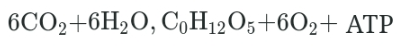 Which one of the following chemical reactions summarizes the process of photosynthesis?