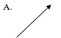 The diagram below shows a path taken by a flying bird. Which one of the following vector may represent a resultant displacement