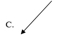 The diagram below shows a path taken by a flying bird. Which one of the following vector may represent a resultant displacement